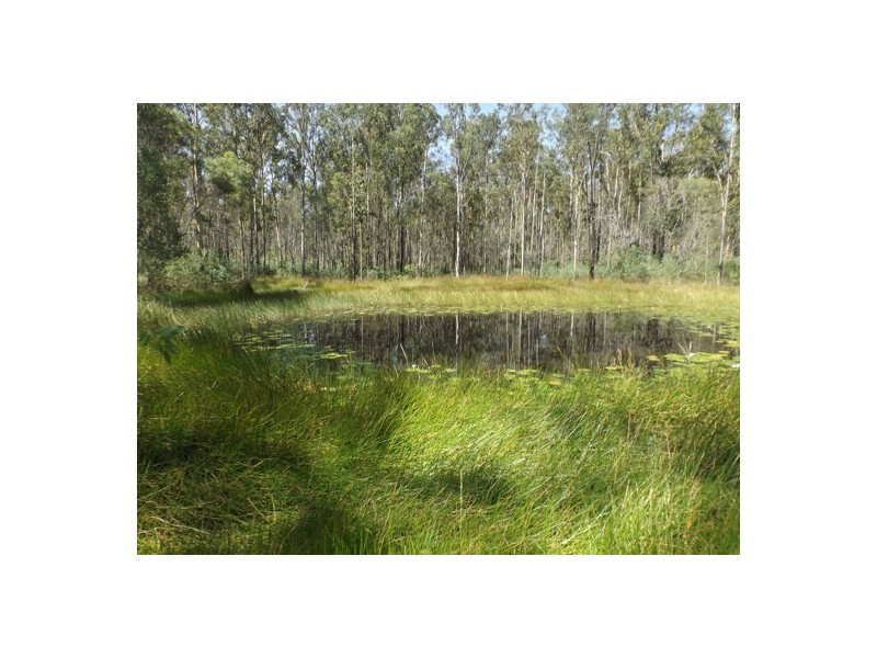 70 Ermelo Road, Ellangowan NSW 2470