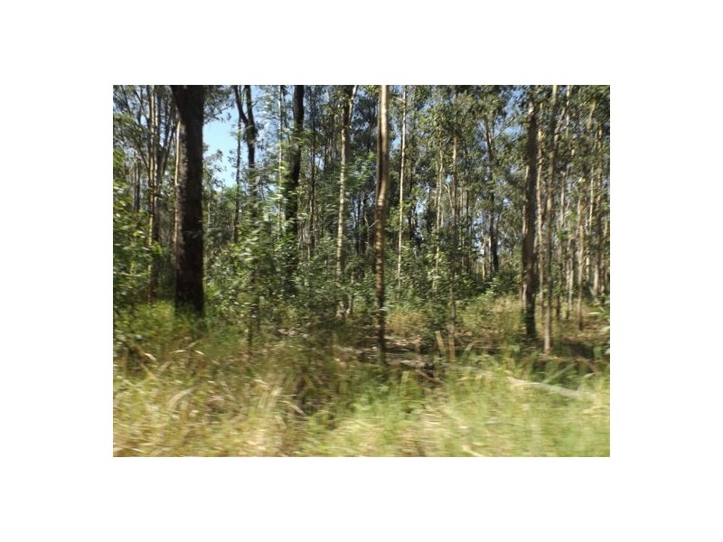 70 Ermelo Road, Ellangowan NSW 2470