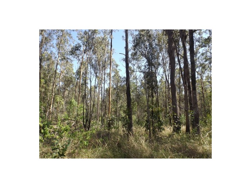 70 Ermelo Road, Ellangowan NSW 2470