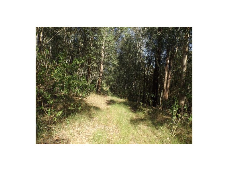 70 Ermelo Road, Ellangowan NSW 2470