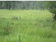 395A Mongogarie Road, Leeville NSW 2470