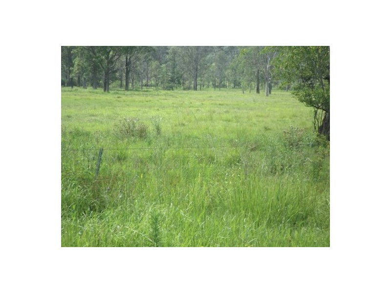 395A Mongogarie Road, Leeville NSW 2470