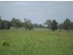 395A Mongogarie Road, Leeville NSW 2470