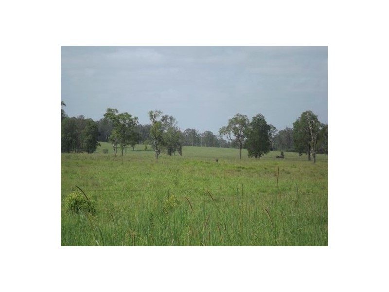 395A Mongogarie Road, Leeville NSW 2470
