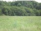 395A Mongogarie Road, Leeville NSW 2470