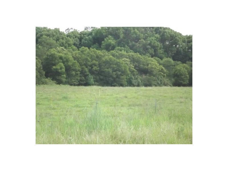 395A Mongogarie Road, Leeville NSW 2470