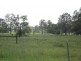 395A Mongogarie Road, Leeville NSW 2470