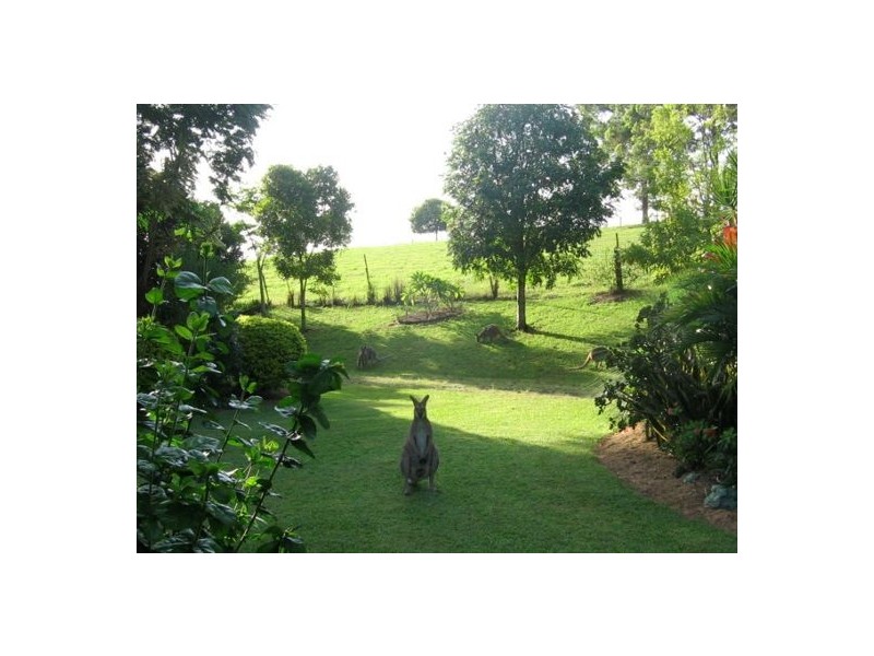 333 Upper Stratheden Road, Casino NSW 2470