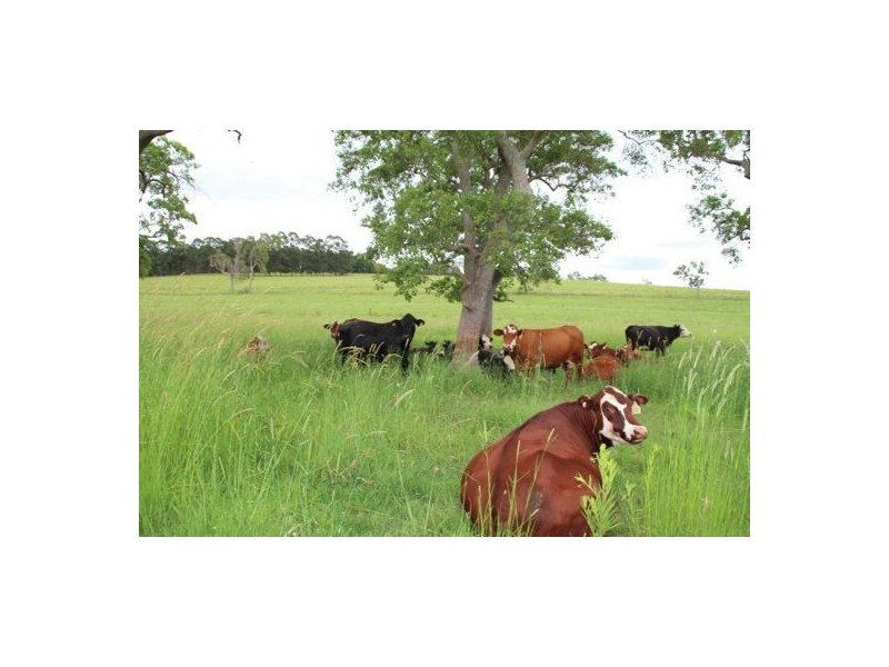 333 Upper Stratheden Road, Casino NSW 2470