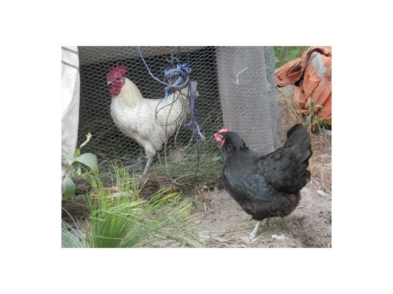 Lot 144 Sugarbag Rd, Tabulam NSW 2469