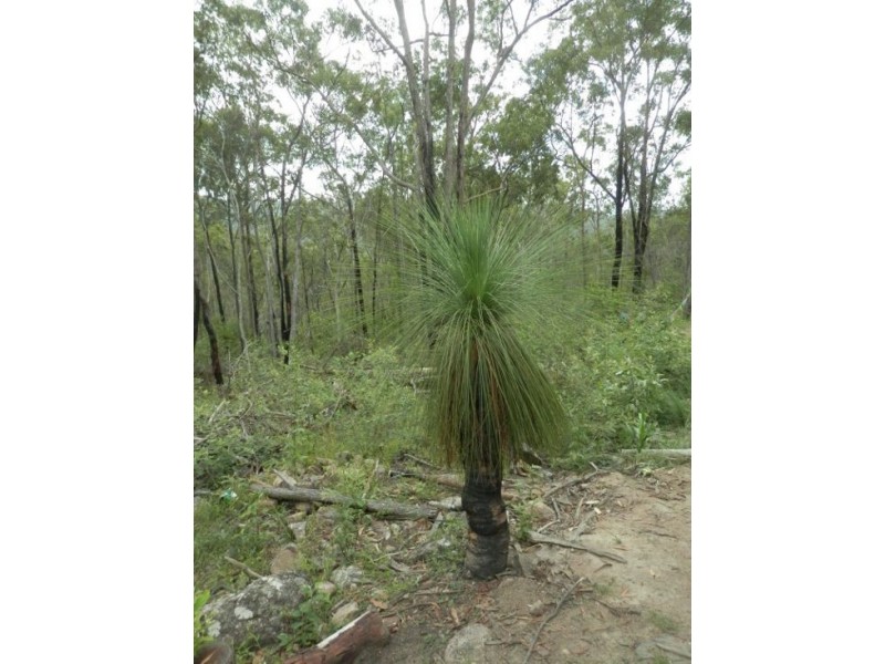 Lot 144 Sugarbag Rd, Tabulam NSW 2469