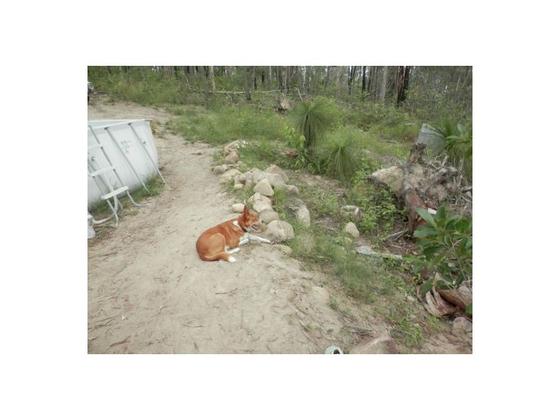 Lot 144 Sugarbag Rd, Tabulam NSW 2469