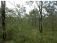 Lot 144 Sugarbag Rd, Tabulam NSW 2469