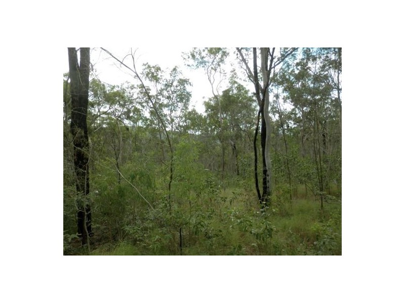 Lot 144 Sugarbag Rd, Tabulam NSW 2469
