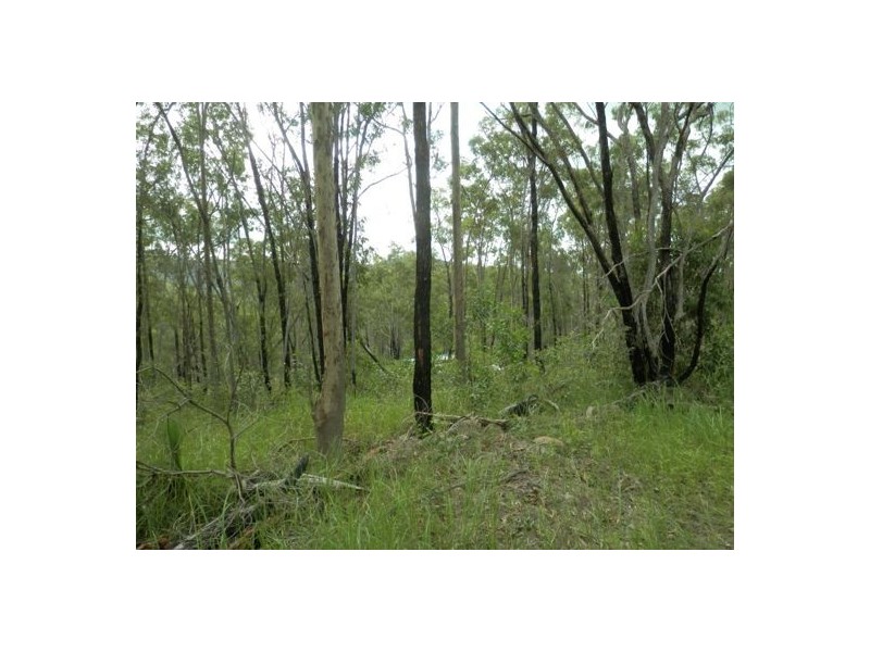 Lot 144 Sugarbag Rd, Tabulam NSW 2469