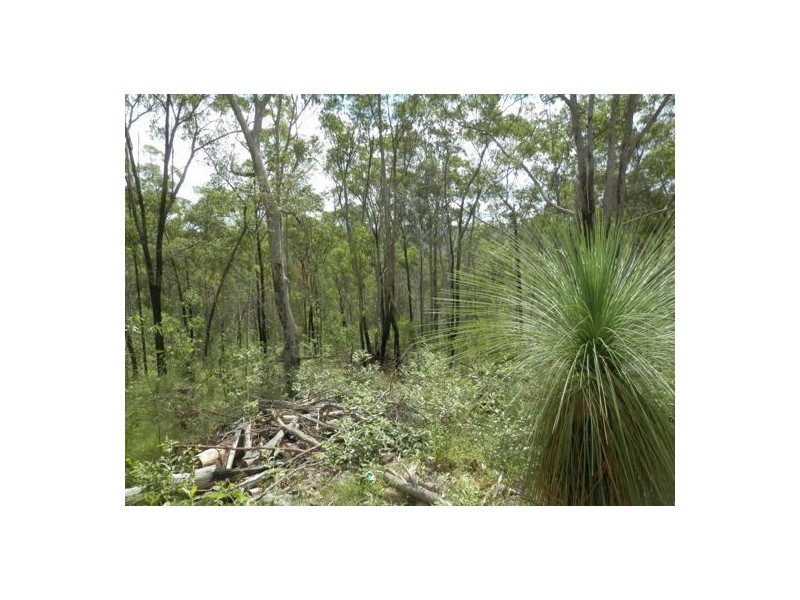Lot 144 Sugarbag Rd, Tabulam NSW 2469