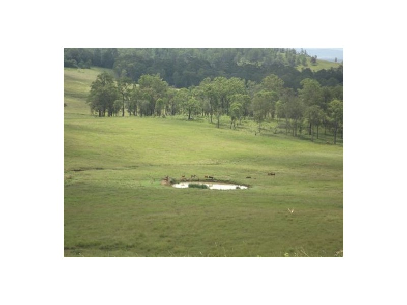 2015 Ellangowan Road Ellangowan, Casino NSW 2470