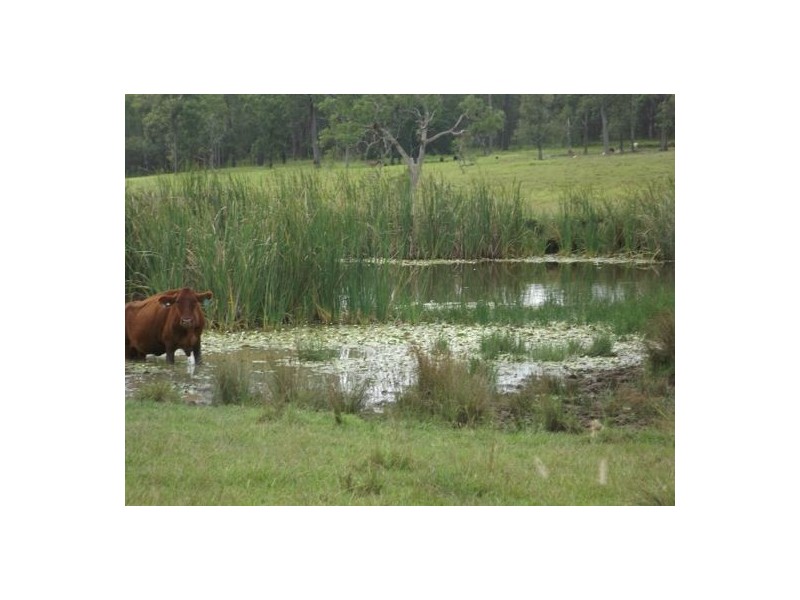 2015 Ellangowan Road Ellangowan, Casino NSW 2470