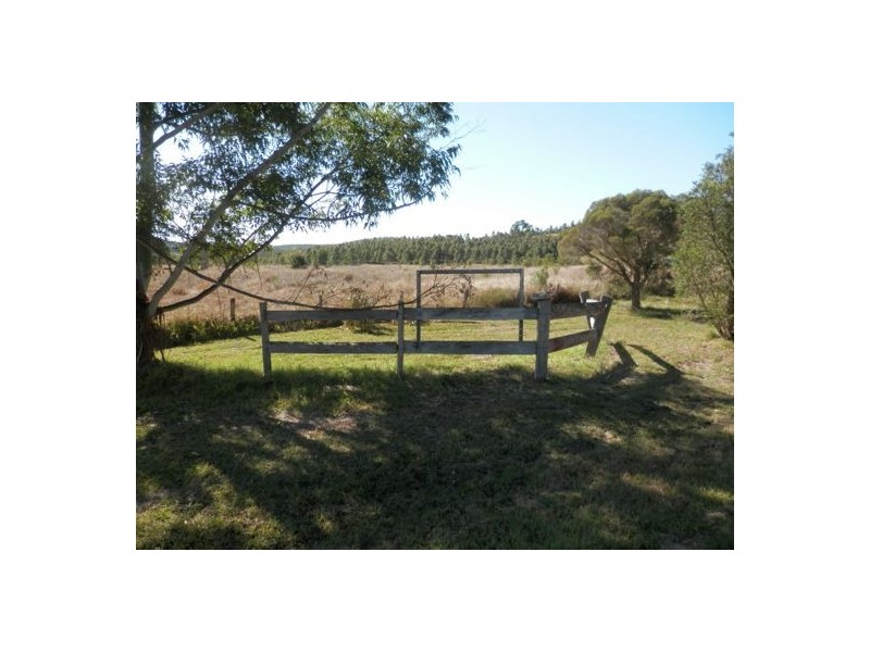 Lot 19 Bruxner Hwy, Tabulam NSW 2469