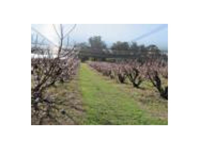 1190 Hogarth RangeRoad, Casino NSW 2470