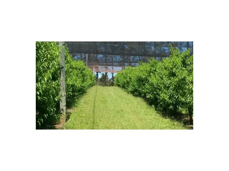 1190 Hogarth RangeRoad, Casino NSW 2470