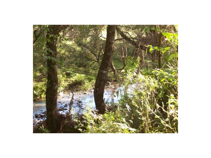 40 Levers Road, Kyogle NSW 2474