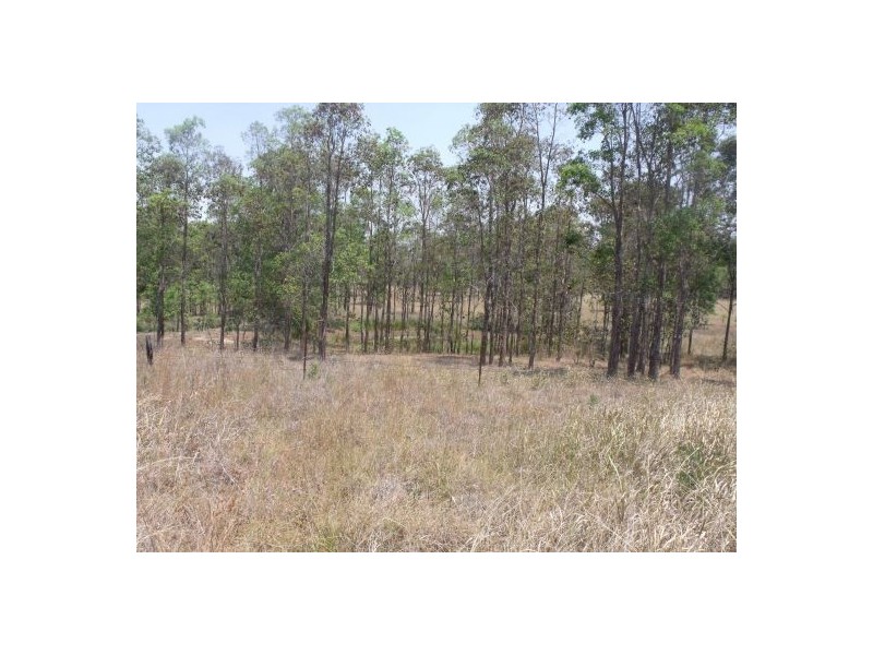 Lot 1 Paddy’s Flat Road, Tabulam NSW 2469