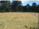 Lot 1 Paddy’s Flat Road, Tabulam NSW 2469