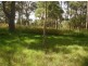 Lot 1 Paddy’s Flat Road, Tabulam NSW 2469