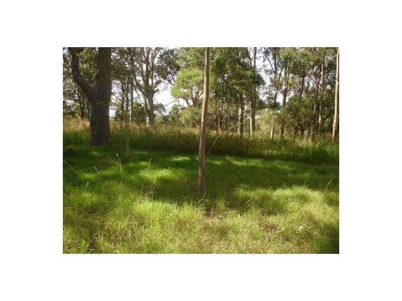 Lot 1 Paddy’s Flat Road, Tabulam NSW 2469
