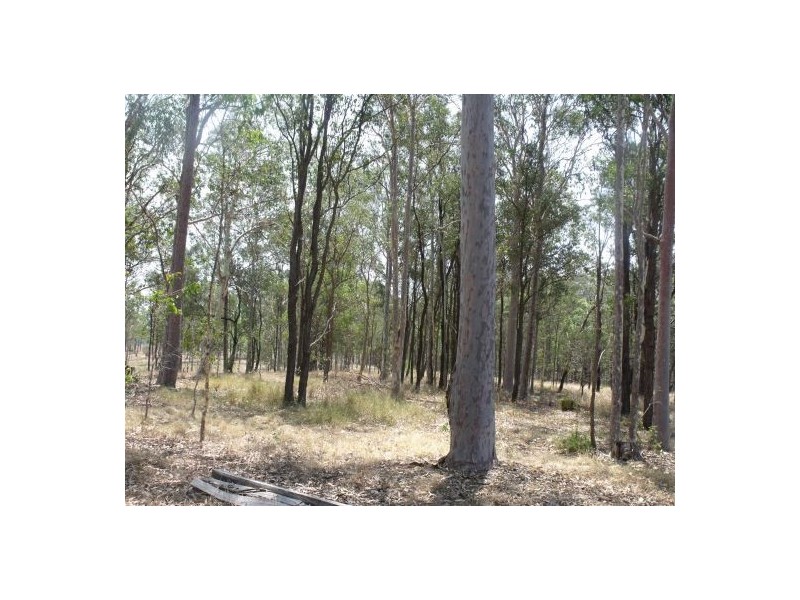 Lot 1 Paddy’s Flat Road, Tabulam NSW 2469