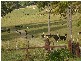 Leeville NSW 2470