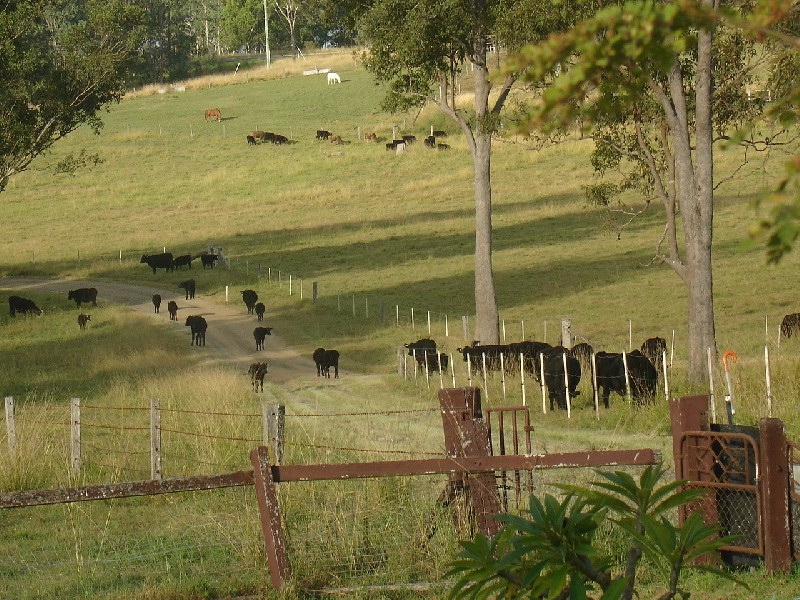 Leeville NSW 2470