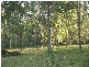 Leeville NSW 2470