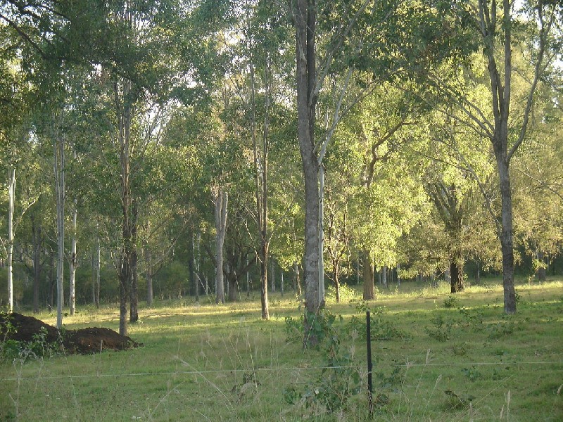 Leeville NSW 2470