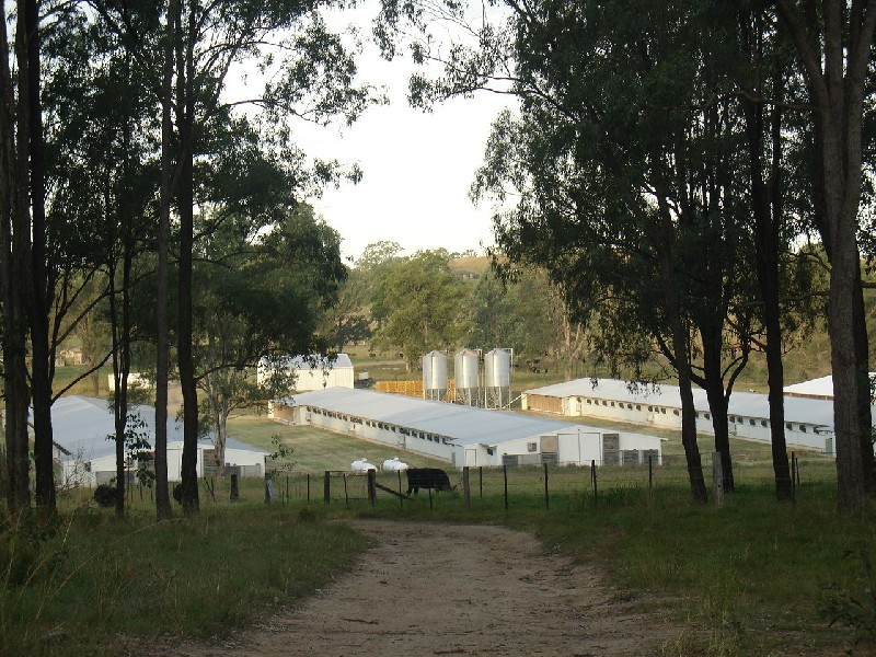 Leeville NSW 2470