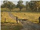 Leeville NSW 2470