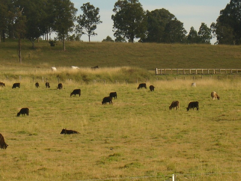 Leeville NSW 2470
