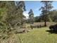 54 Levers Road Terrace Creek Via Old Grevillia, Kyogle NSW 2474