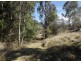 54 Levers Road Terrace Creek Via Old Grevillia, Kyogle NSW 2474