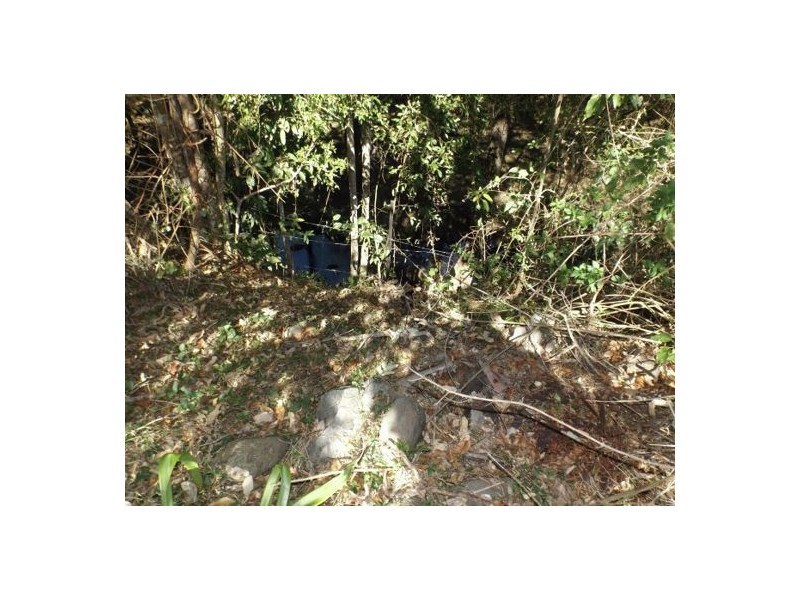 54 Levers Road Terrace Creek Via Old Grevillia, Kyogle NSW 2474