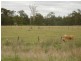 Kyogle NSW 2474