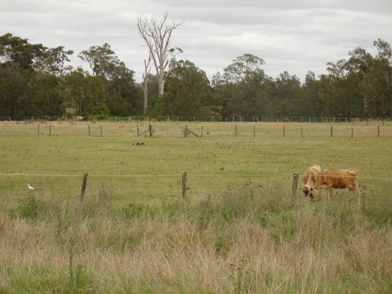 Kyogle NSW 2474