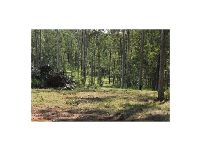 812 A Shannon brook Road Shannon Brook, Casino NSW 2470