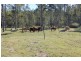 812 A Shannon brook Road Shannon Brook, Casino NSW 2470