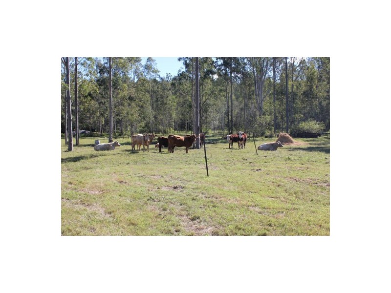 812 A Shannon brook Road Shannon Brook, Casino NSW 2470