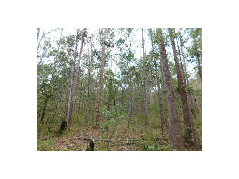 812 A Shannon brook Road Shannon Brook, Casino NSW 2470