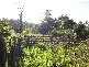 Larnook NSW 2480