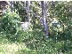Larnook NSW 2480