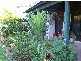 Collins Creek NSW 2474